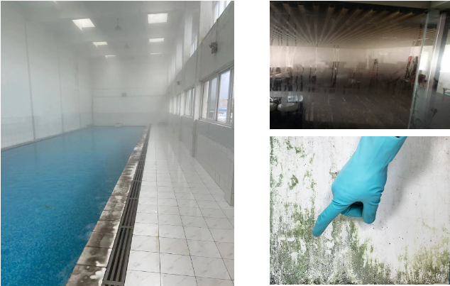 室内泳池潮湿环境现象 室内泳池潮湿环境现象