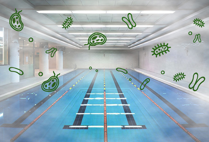 室内泳池.jpg 室内泳池.jpg